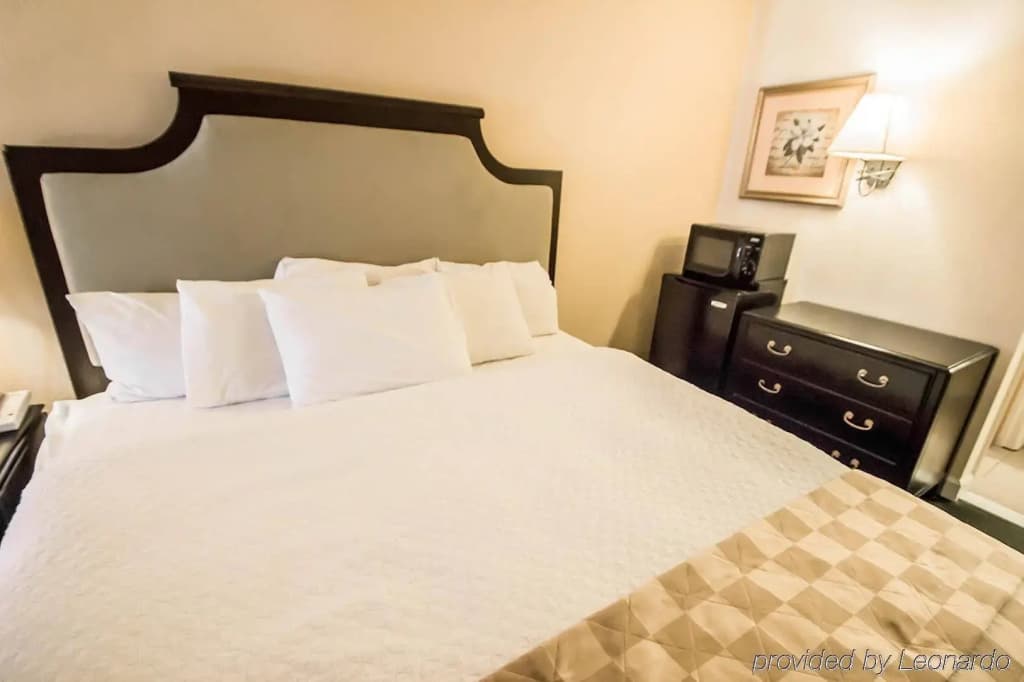 Rodeway Inn Near Florida Mall - photo 3