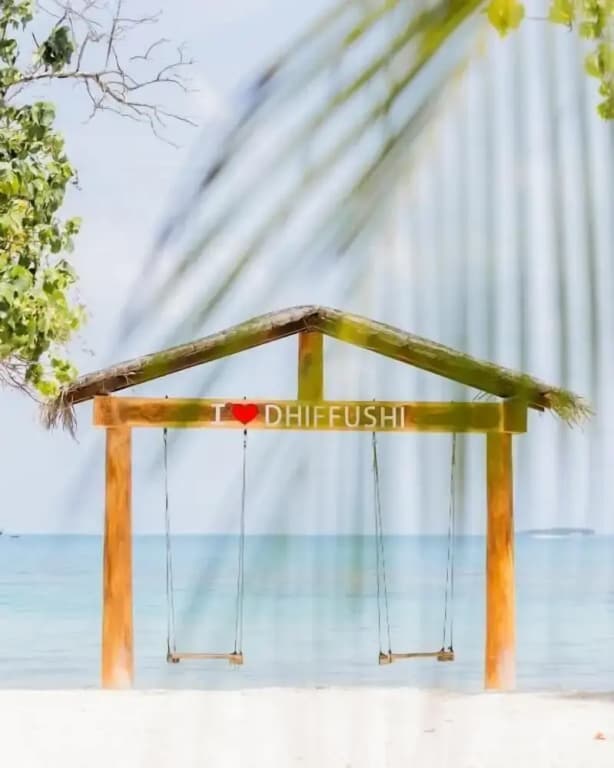 Velaa Vani - The Turtle Hive Maldives - photo 26