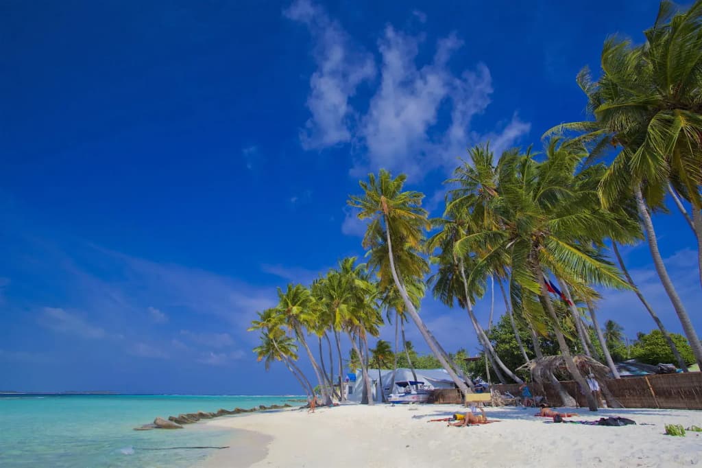 Kaani Beach Hotel - photo 27