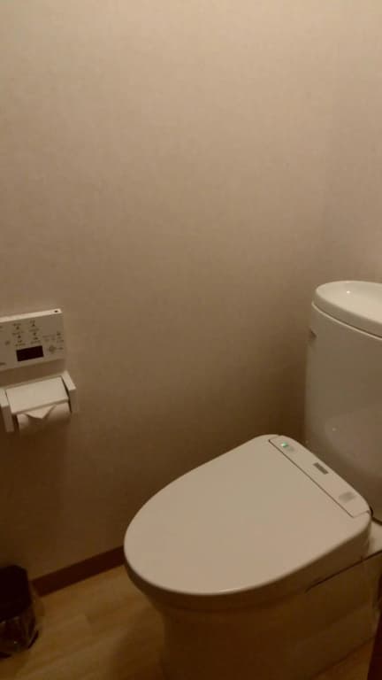 Ueno First City Hotel - photo 10