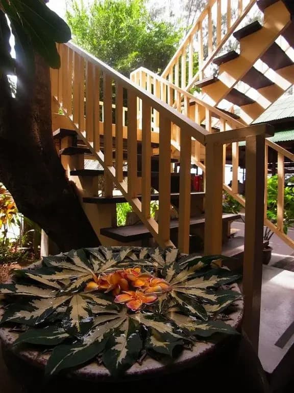 World Resort - photo 11