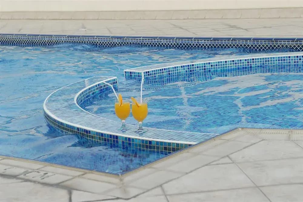 Arabian Suites Dubai - photo 14