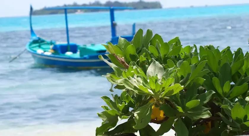 Dacha Maldives Guest House - photo 7