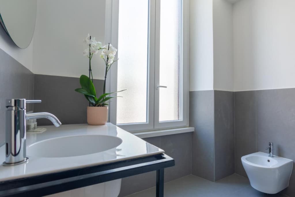 Carrara 24 - photo 7