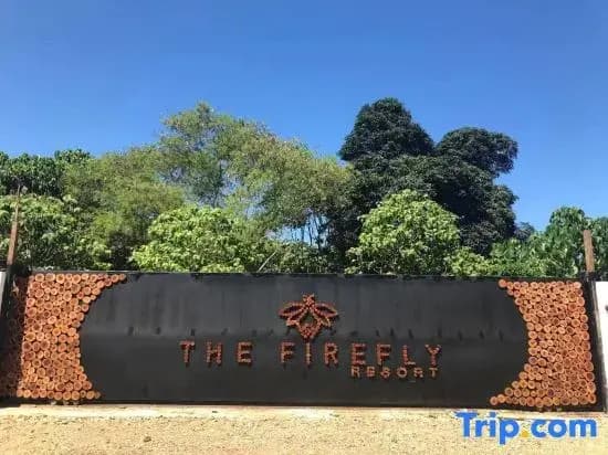 The Firefly Resort - photo 5