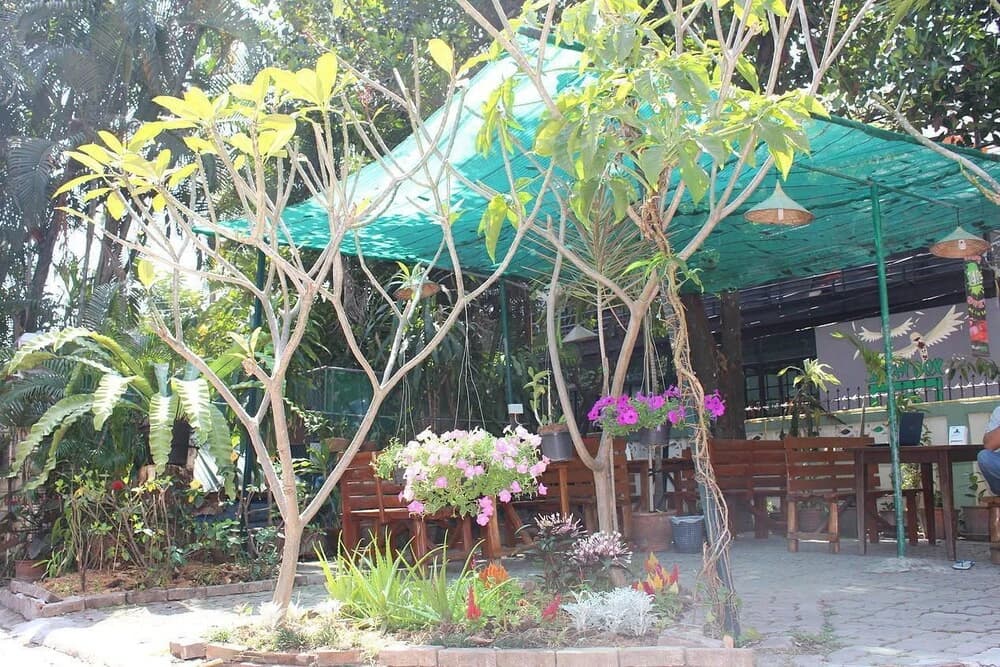 Jungala House - photo 10
