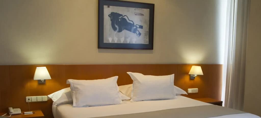 Hotel Silken Sant Gervasi - photo 43