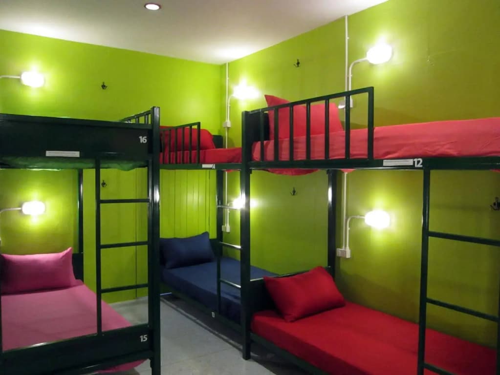 Treechart Hostel - photo 1