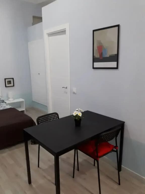 White Goose Apartment in Madrid - photo 13