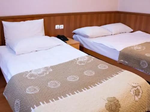 Hotel Skip - photo 1