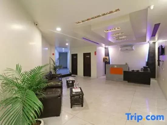 Airport Hotel Classic Park - photo 4