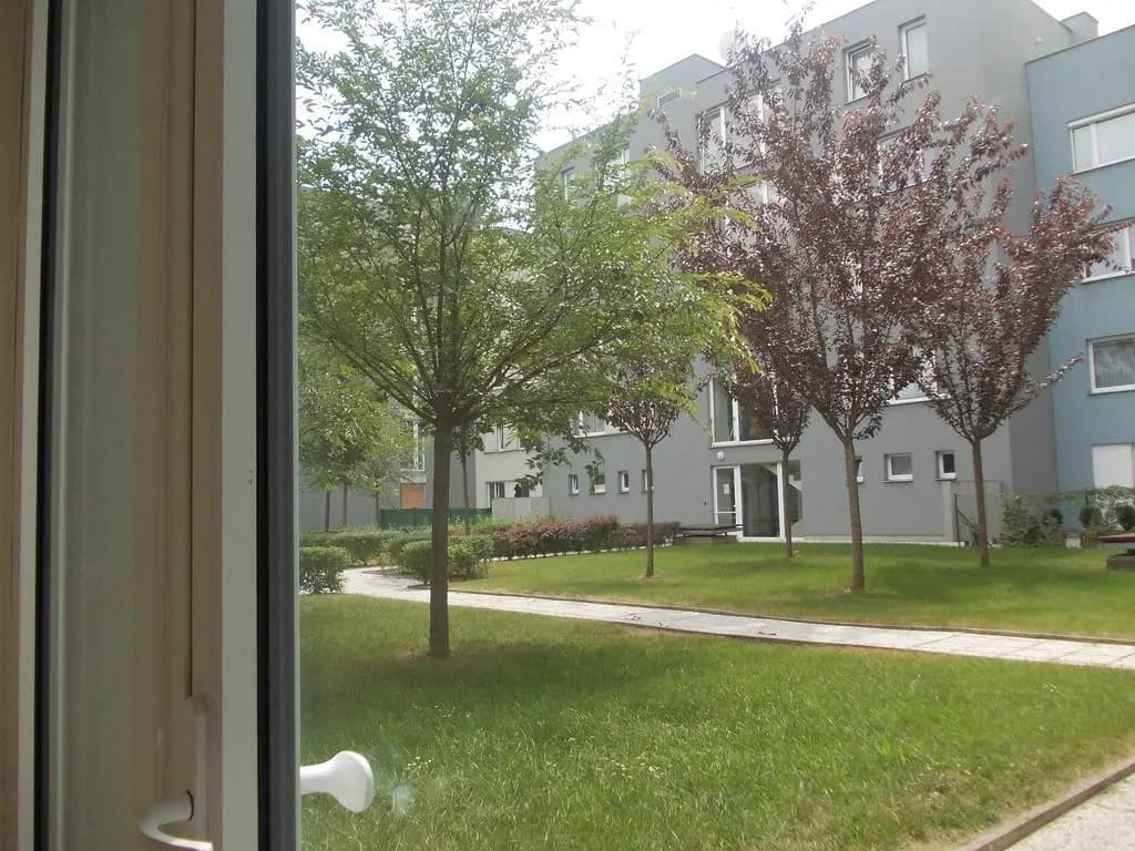 Apartment Jelinex - photo 4