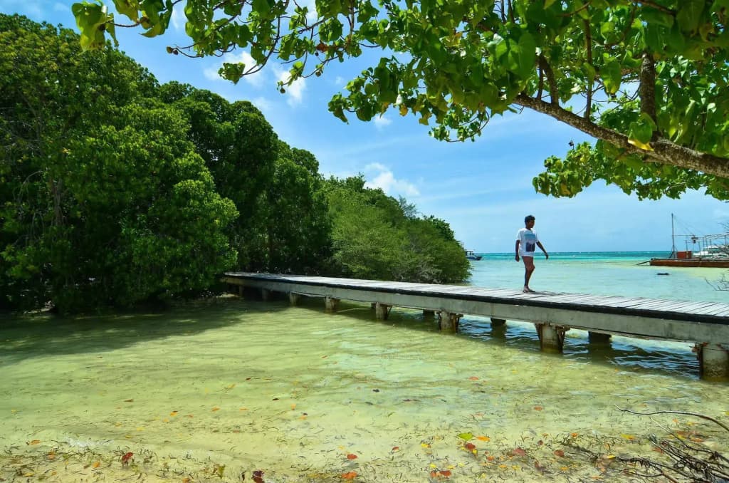 Huraa East Inn - photo 15