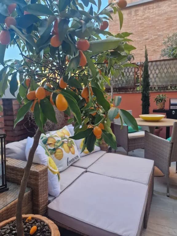 Vaticano 13 guesthouse - photo 27