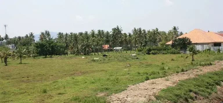 Chalong Seaview Resort - photo 16
