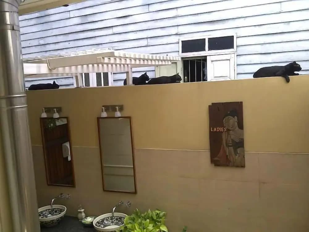 Baan Dinso - photo 1