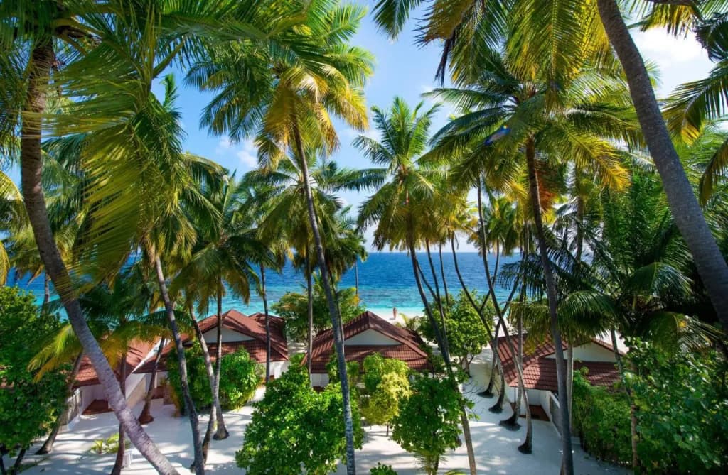 Diamonds Thudufushi Maldives Resort & Spa - photo 50