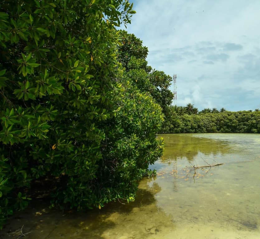 Huraa East Inn - photo 13