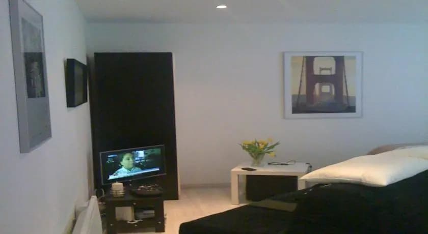Pichon 5 - photo 9
