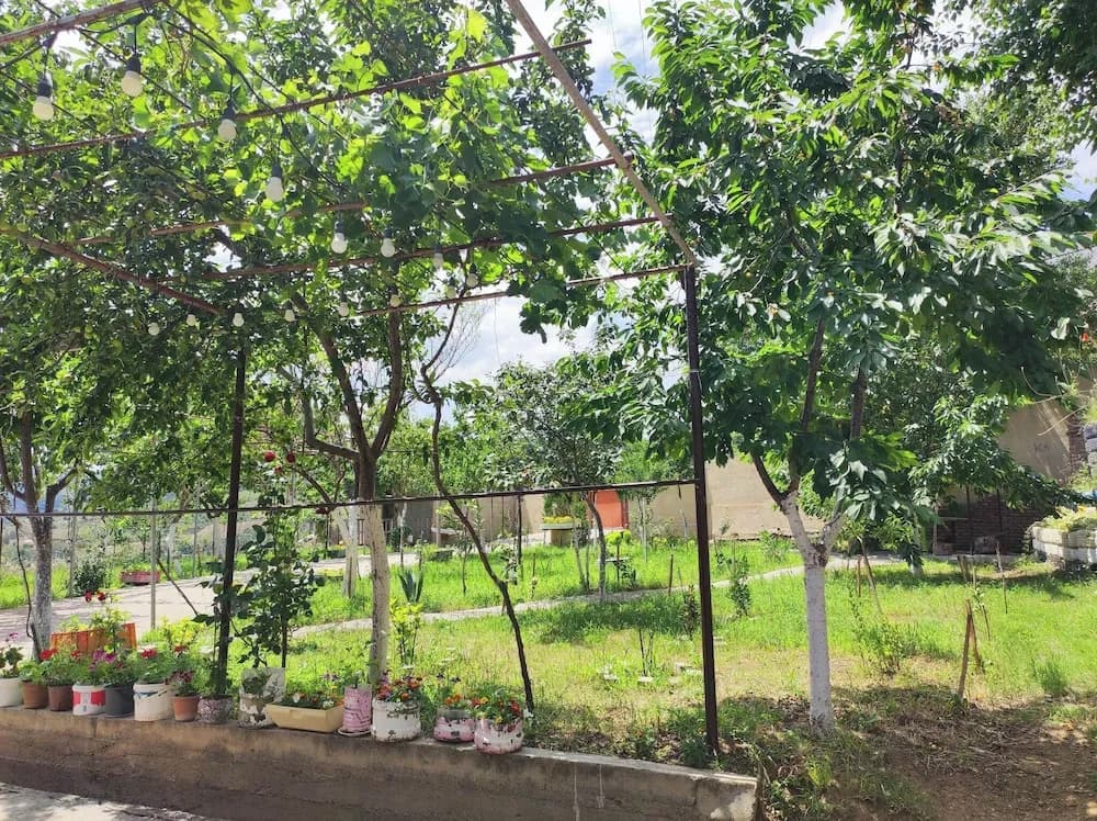 Veranda Vere - photo 7