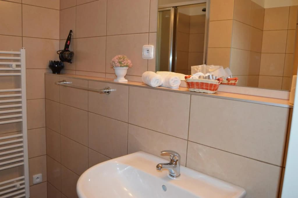 Hotel Aréna - photo 8