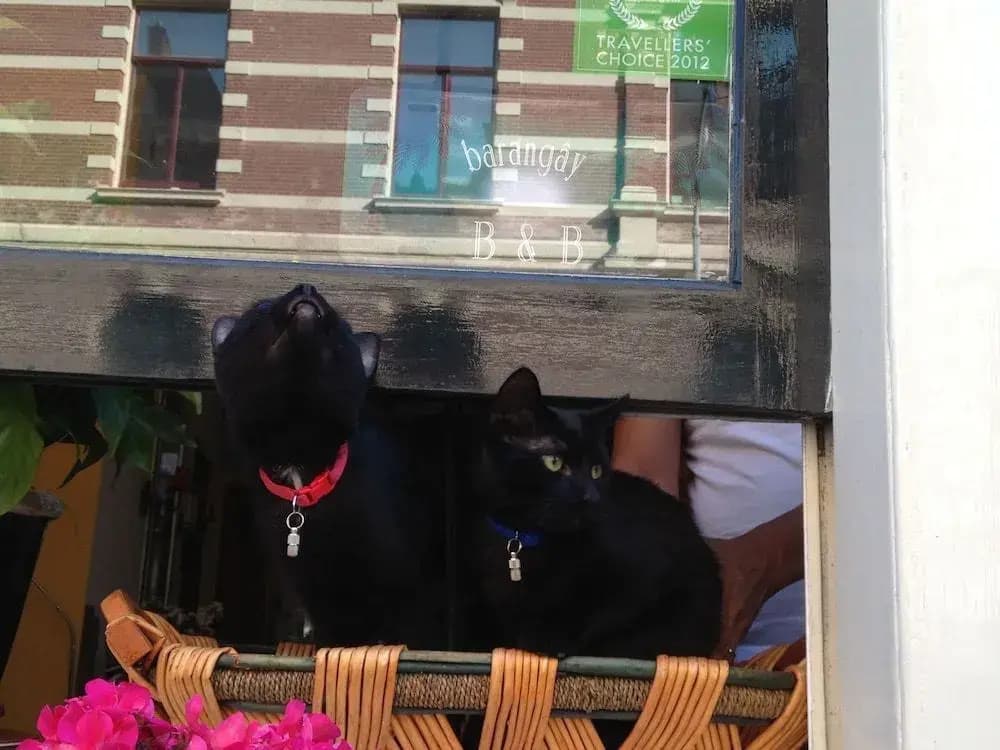 Amsterdam B&B Barangay - photo 1
