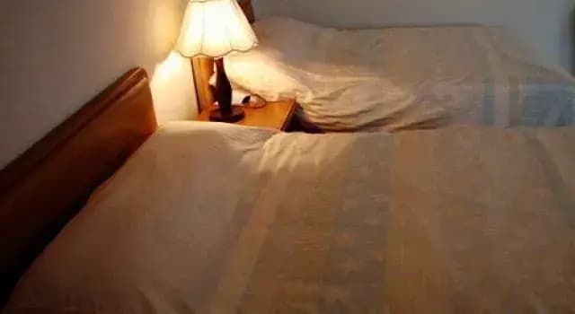 Paramount Hotel - photo 5