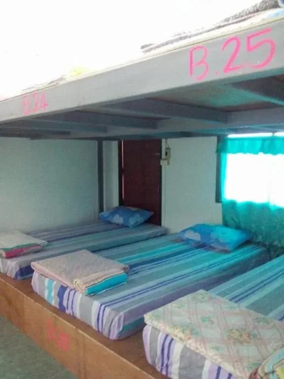 Bamboo Hostel - photo 5