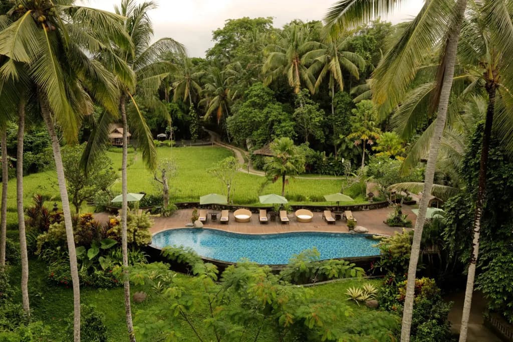 Plataran Ubud Hotel & Spa - photo 15