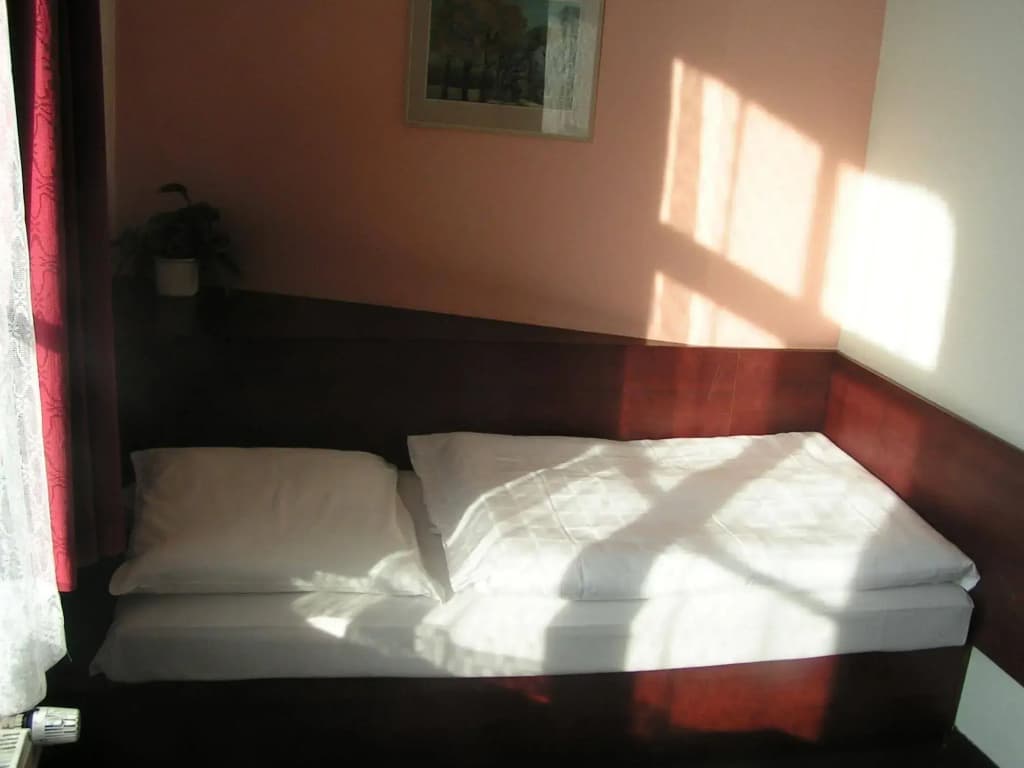 Hotel Jerabek - photo 4