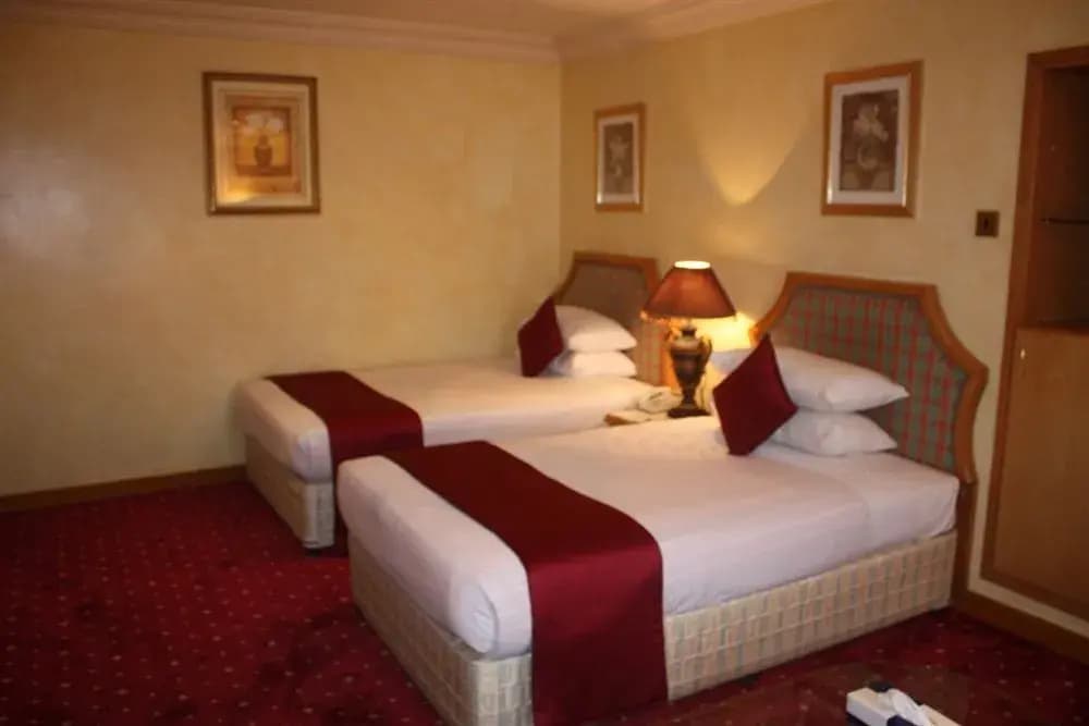 Qatar Palace Hotel - photo 3