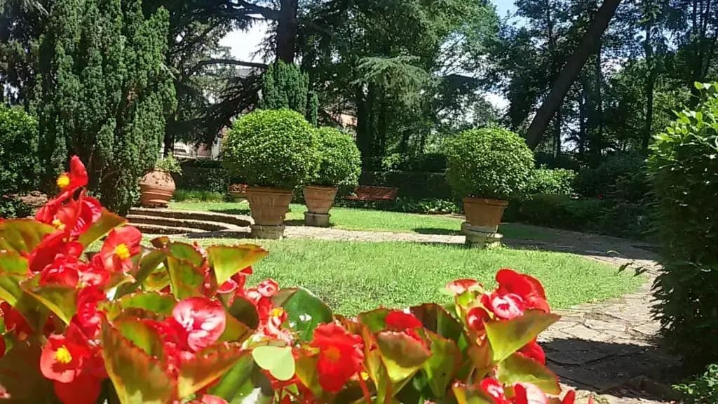 Park Palace - photo 13