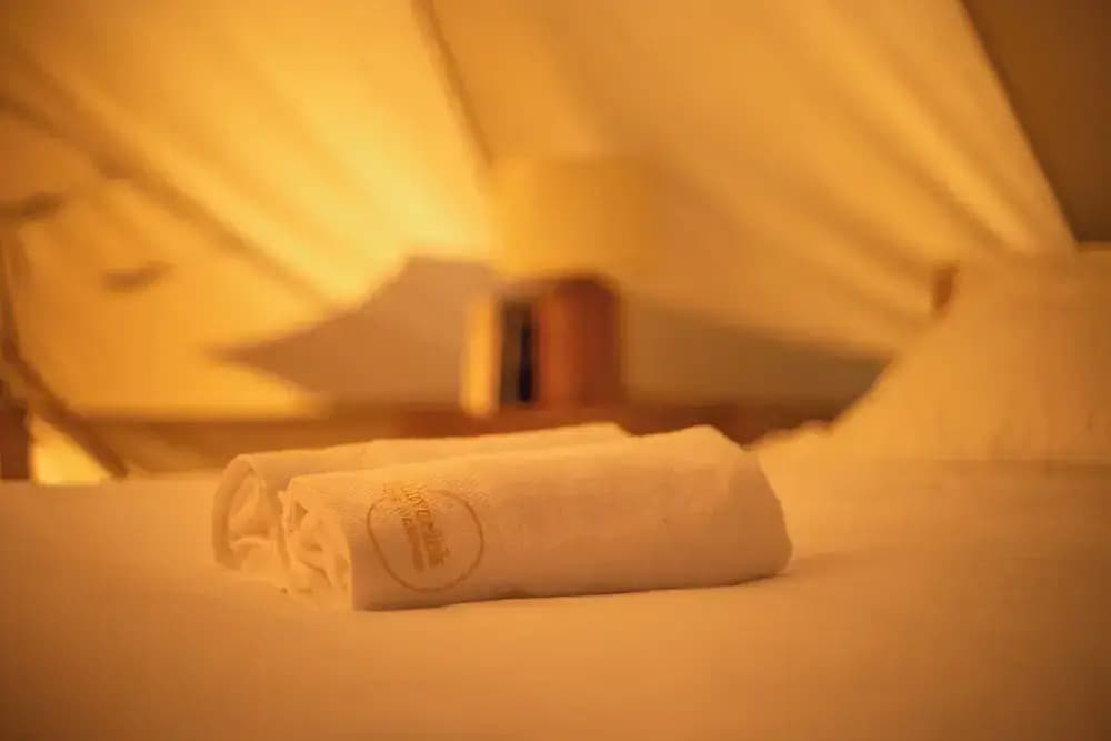 The Maverick Surf and Dive Boutique Hotel - photo 4