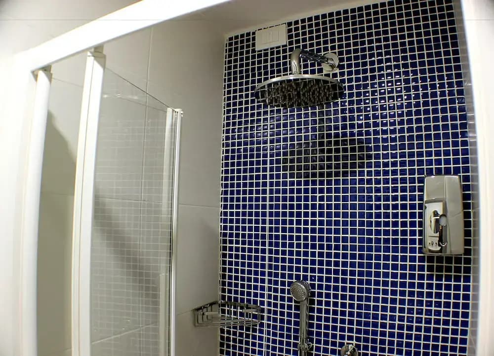Silver Star Guest House - photo 7