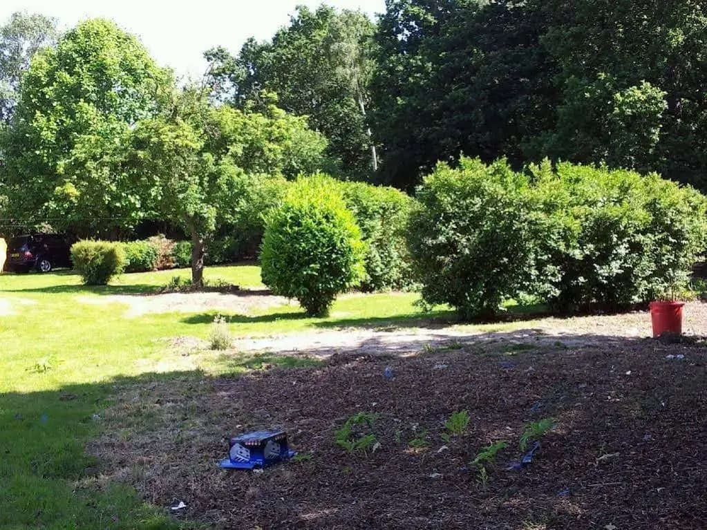 Ruxley Rooms - photo 9
