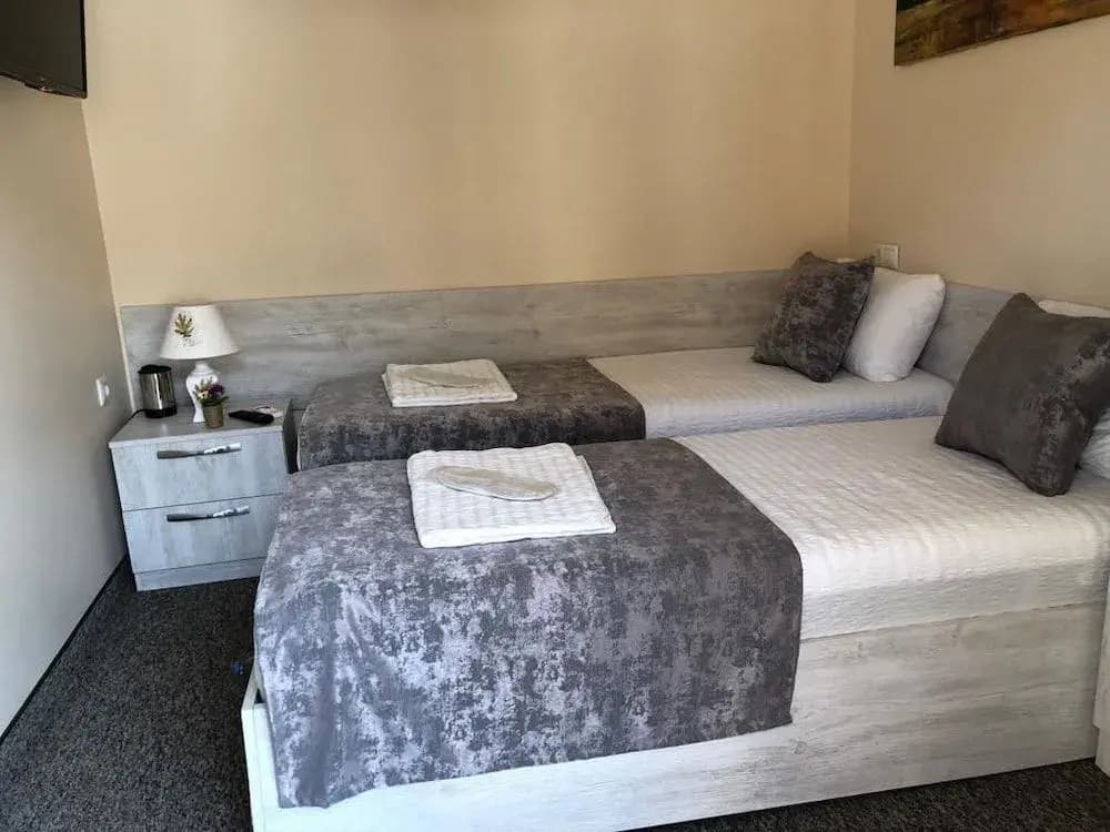 Hotel Leo Palace Tbilisi - photo 5