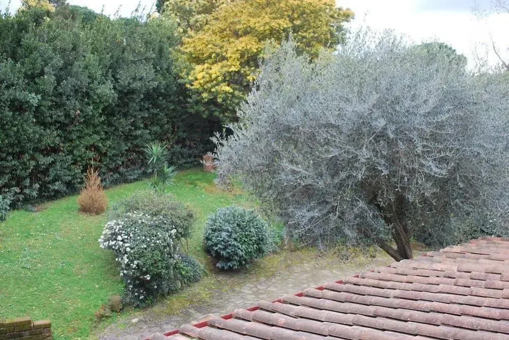 Residence Casale Mostacciano - photo 14
