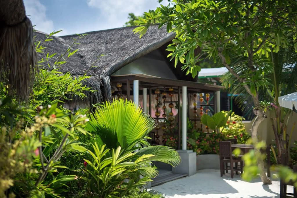 Tropical Village - photo 21