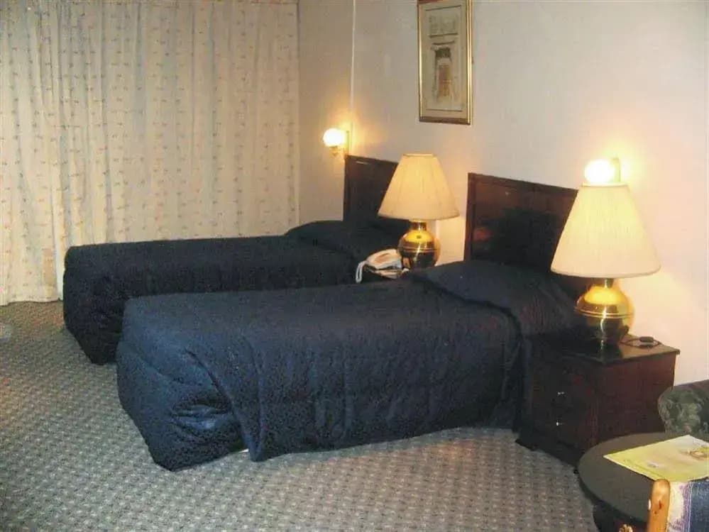 Ramee International - photo 2