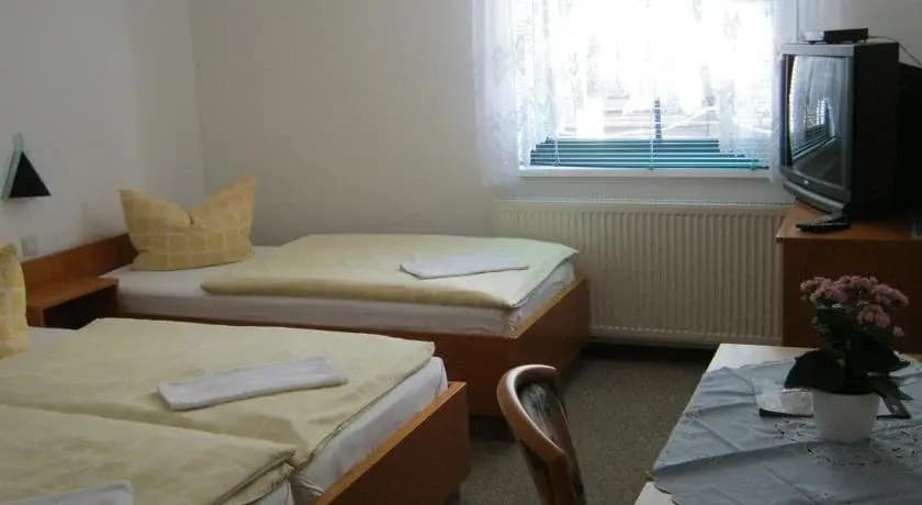 An den Birken - photo 6