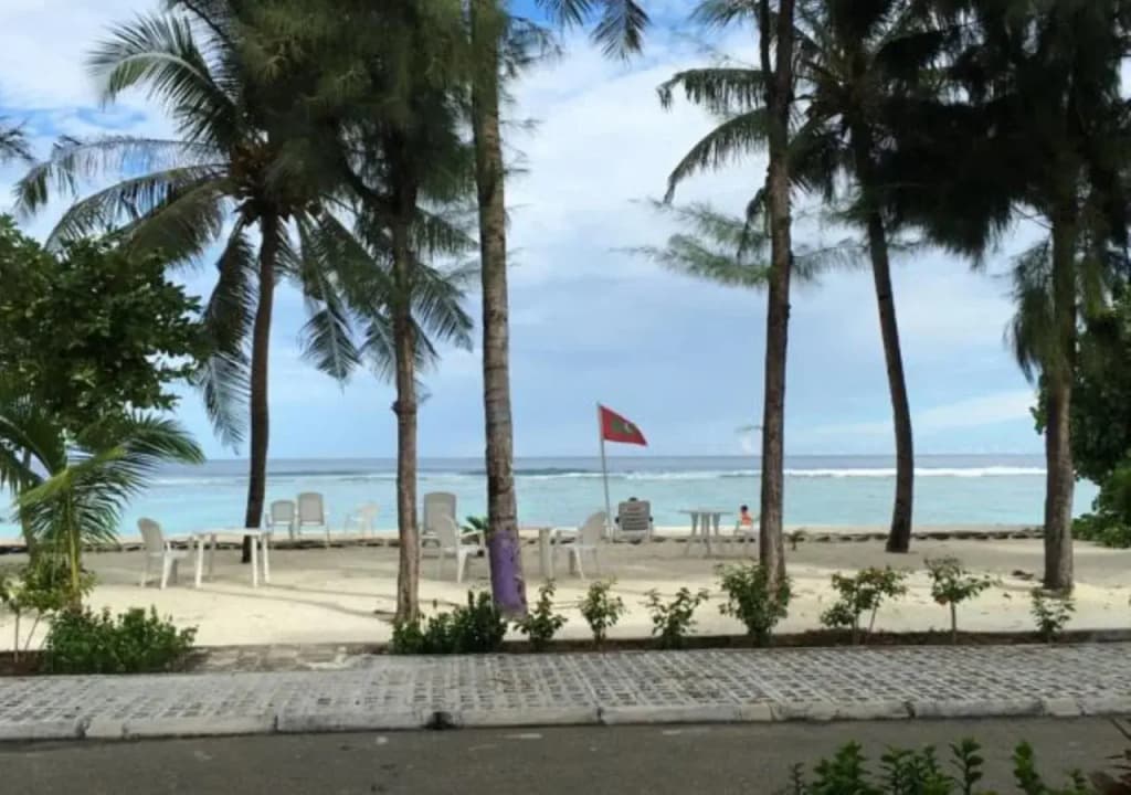Transit Beach View - photo 9