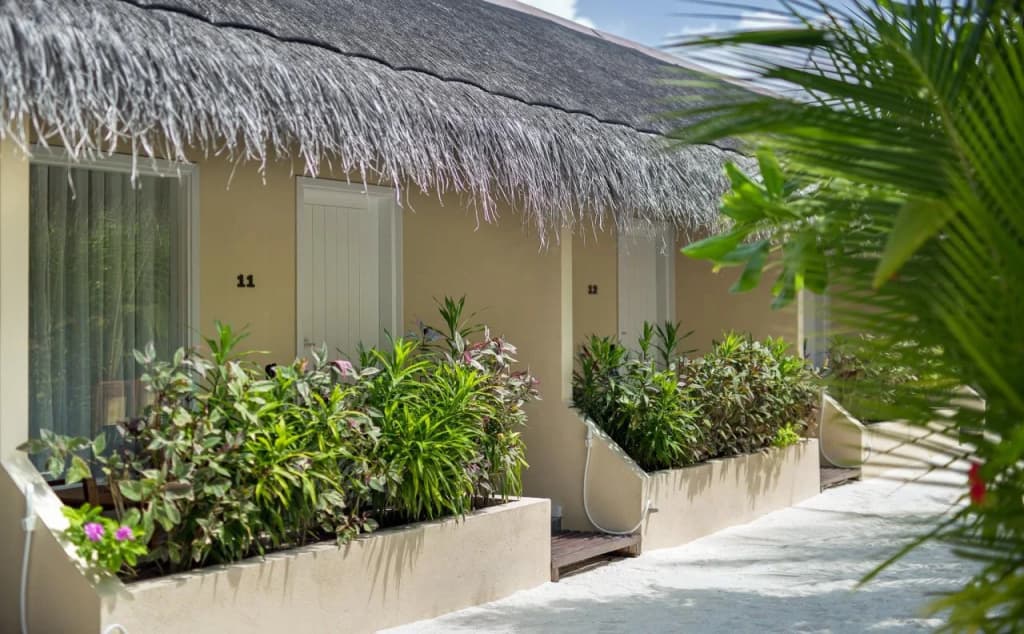 Tropical Village - main photo