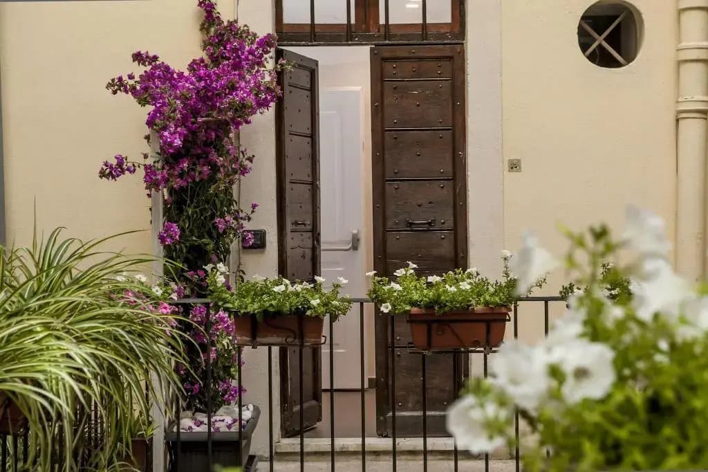 Hotel Navona - photo 1