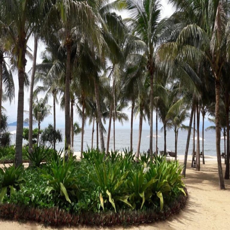 Miami Beach Hotel - photo 17