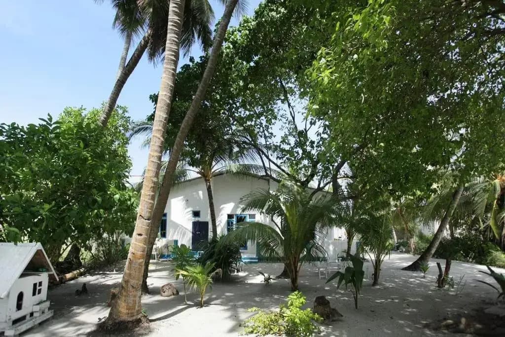 La Due Thulusdhoo - photo 3