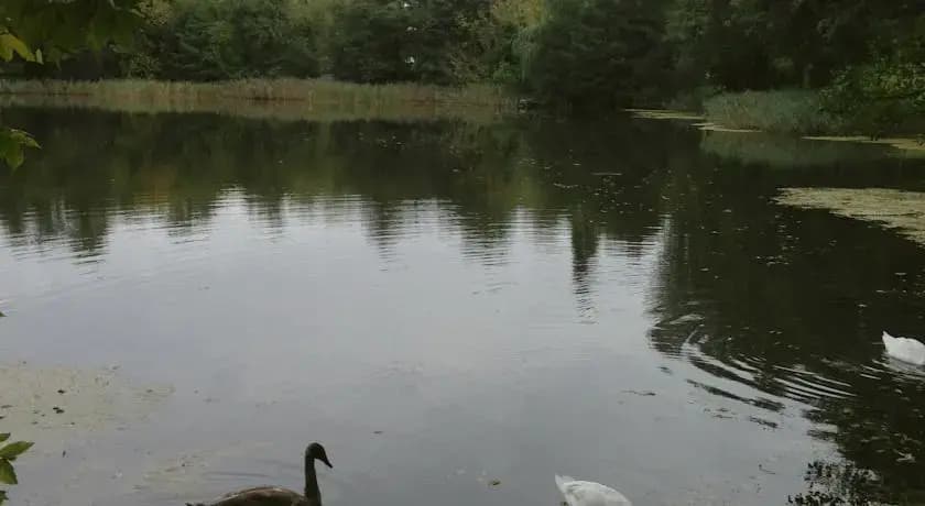 Berlin Grunewald - photo 7