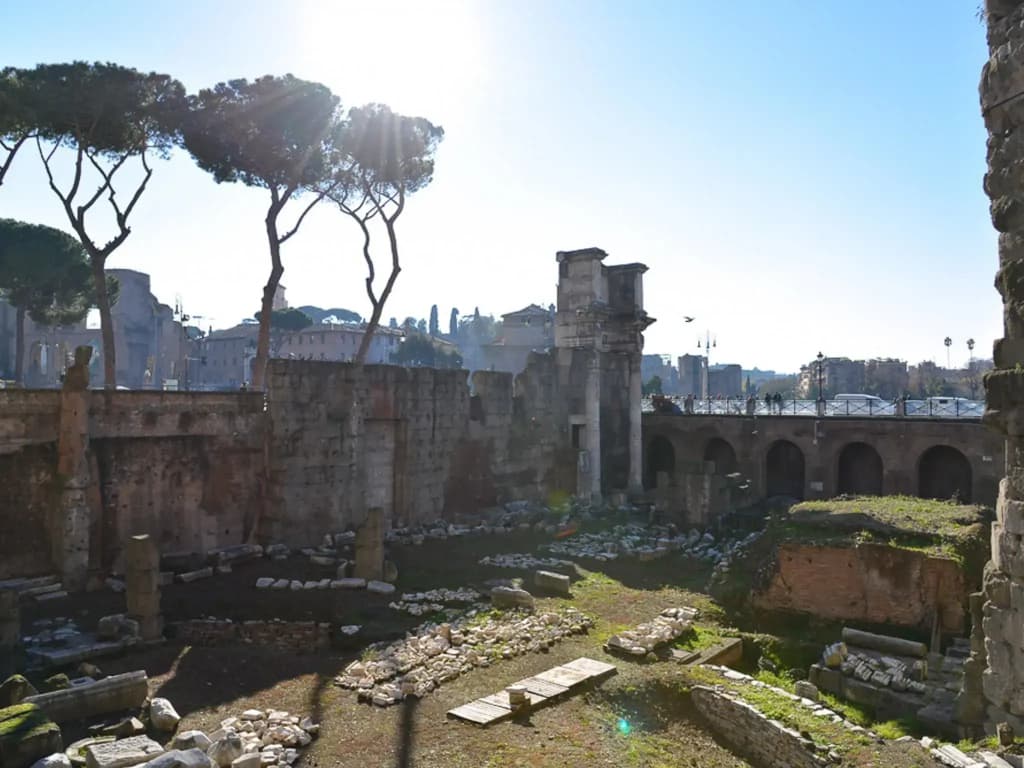 Roman Forum Holiday Fori - photo 15