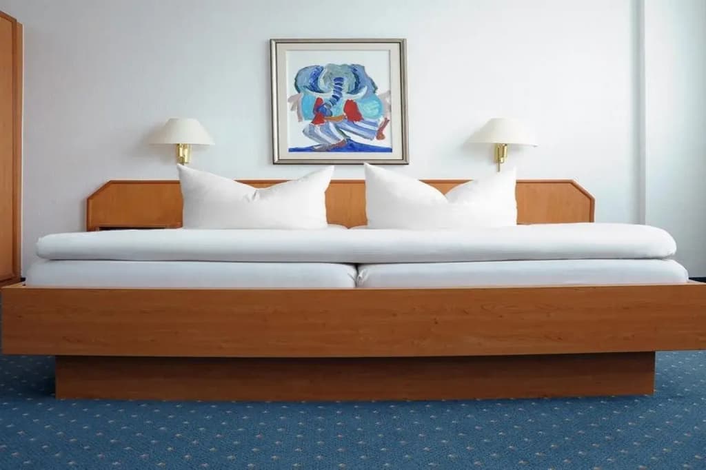 Hotel Ludwig van Beethoven - photo 5