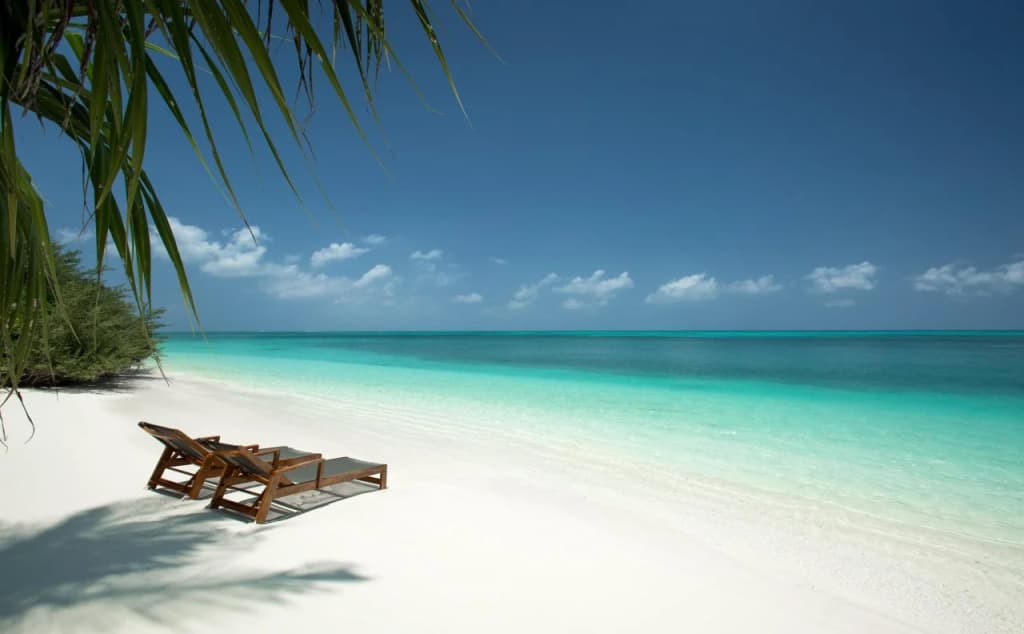 Tropical Village - photo 39