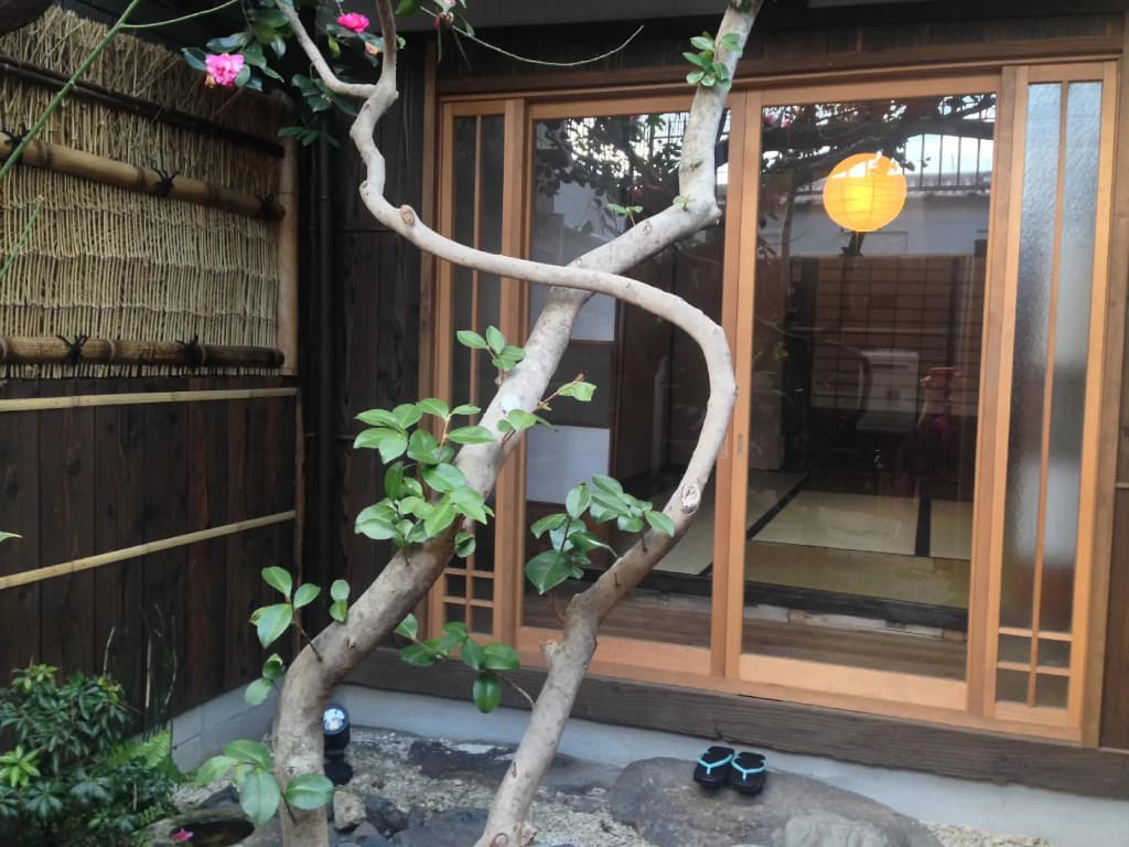 Koto An - photo 15